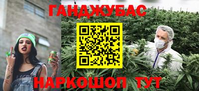 индика Кулебаки